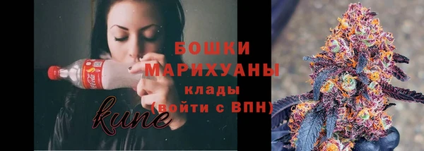 альфа пвп Новодвинск