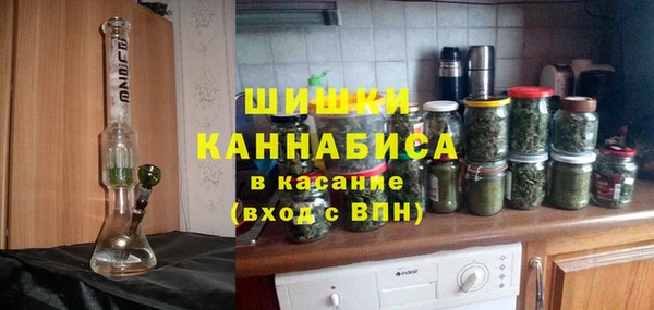 молекула духа Нягань
