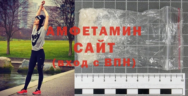 прущие грибы Каменногорск