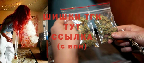 альфа пвп Новодвинск