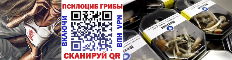 Псилоцибиновые грибы Psilocybe  продажа наркотиков  Сарапул 