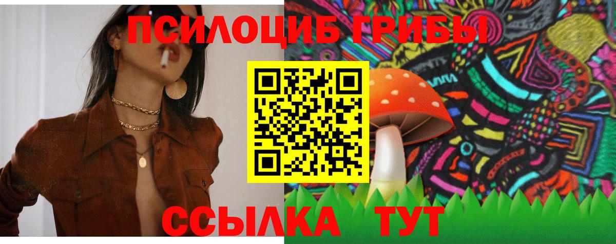 Псилоцибиновые грибы MAGIC MUSHROOMS Сарапул