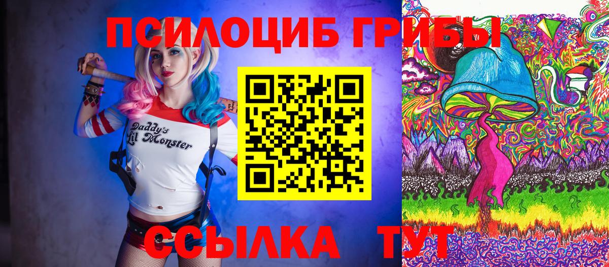 Псилоцибиновые грибы Psilocybine cubensis  Псилоцибиновые грибы прущие грибы  Вход с VPN  Сарапул 